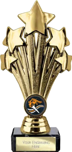 5 Star Multisport Gold