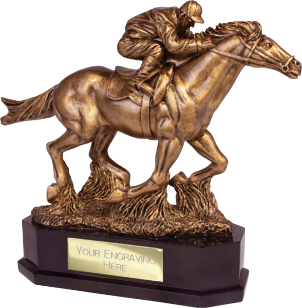 Aintree Deluxe Equestrian