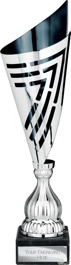 Arrow Black & Silver