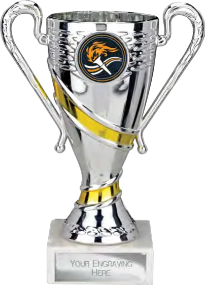 Attrition Silver & Gold Cup