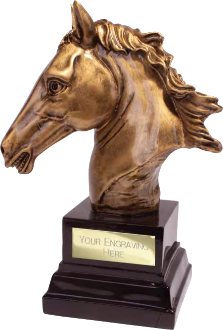 Belmont Deluxe Equestrian