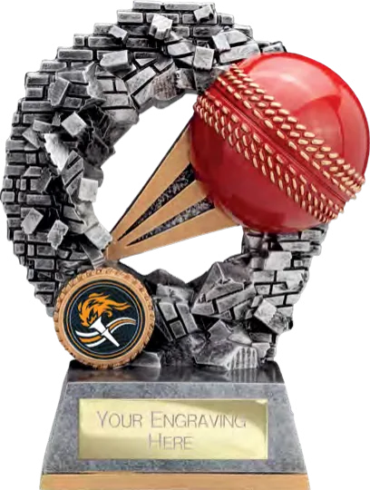 Blast Out Cricket