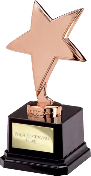 Bronze Star