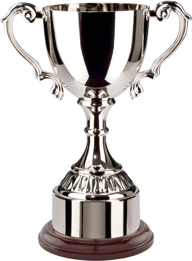 Canterbury Electro Plated Gold Finish Cup