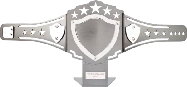 Champion Boxing Winning Belt