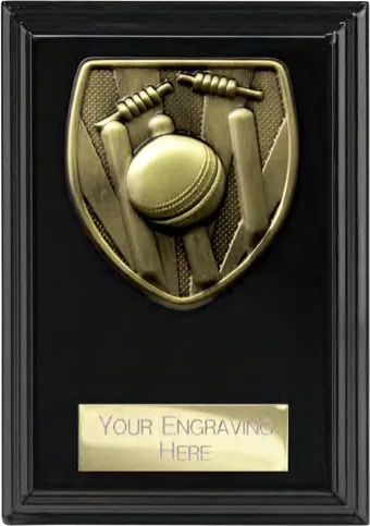 Cobra Plaque Cricket (PL24209B)