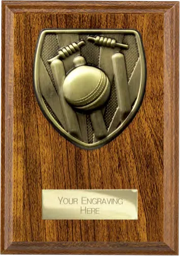 Cobra Plaque Cricket (PN24209B)