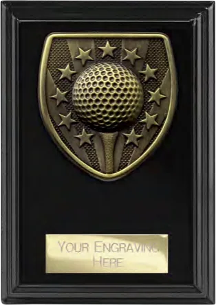 Cobra Plaque Golf Winner