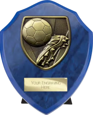 Cobra Shield Boot & Ball (PS24195B)