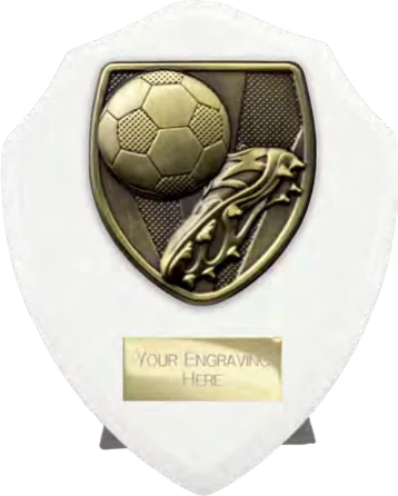 Cobra Shield Boot & Ball (PT24195B)