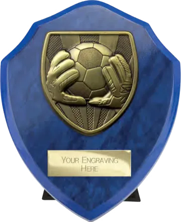 Cobra Shield Goalkeeper (PS24202B)