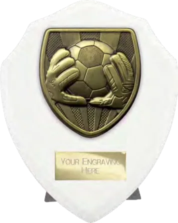 Cobra Shield Goalkeeper (PT24202B)