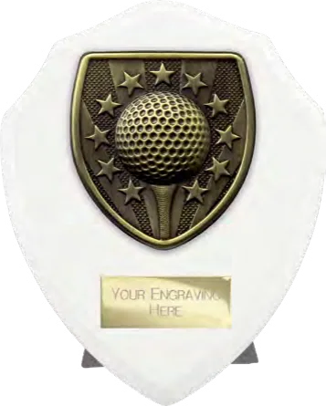 Cobra Shield Golf Winner