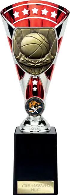 Cobra Star Basketball (TB24196A)