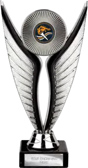 Eagle Multisport Silver