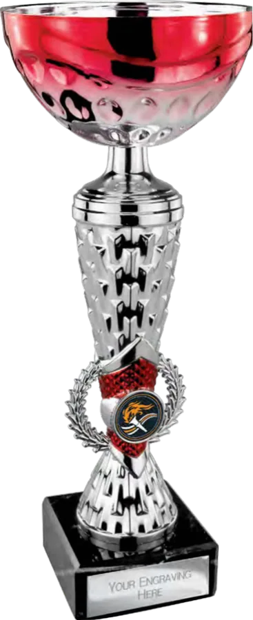 Energy Red & Silver
