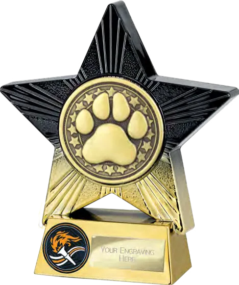 Euphoria Hero Dog Agility