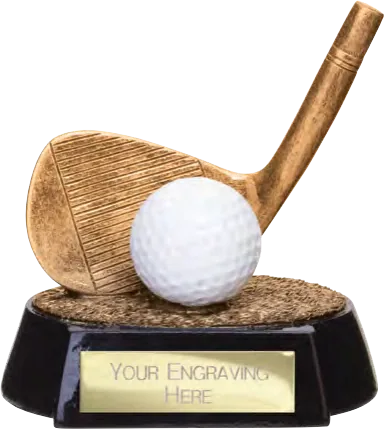 Fairway Golf Iron