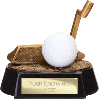 Fairway Golf Putter