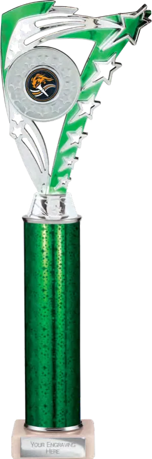 Frenzy Green & Silver (TR24614A)