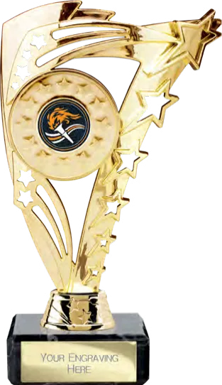 Frenzy Multisport Gold