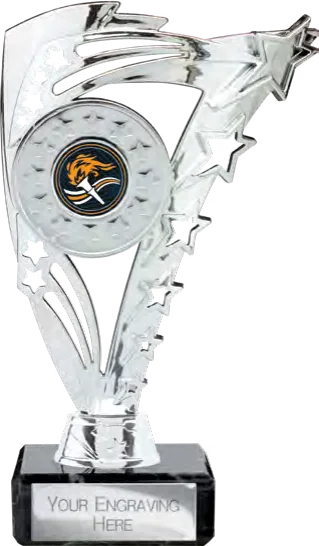Frenzy Multisport Silver