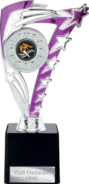 Frenzy Purple & Silver (TR24513A)