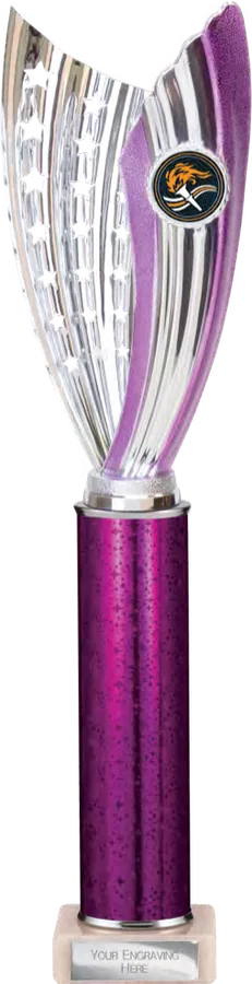 Glamstar Purple & Silver