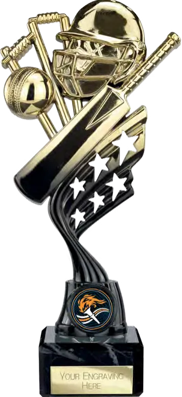 Innov8 Cricket Gold