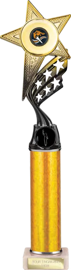 Innov8 Gold & Black (TR26591A)