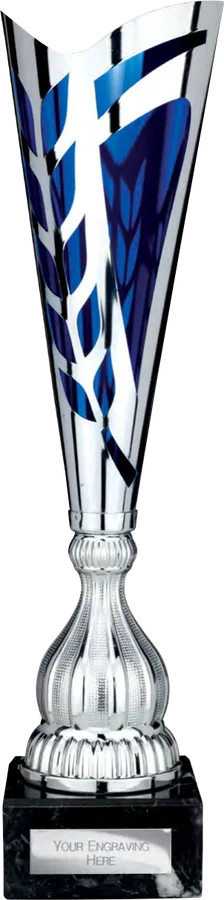 Inspire Silver & Blue