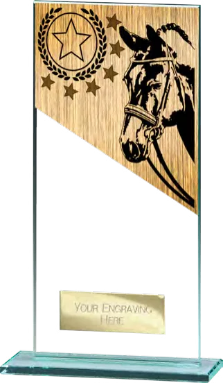 Maverick Fusion Equestrian