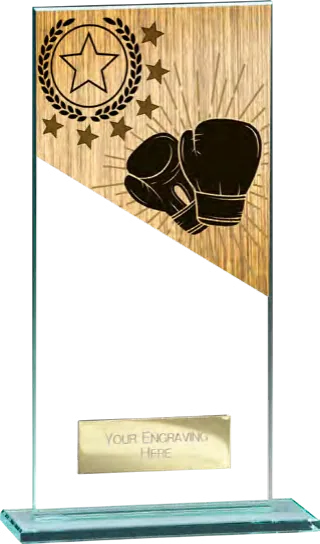 Millennium Boxing