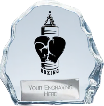 Mystique Boxing