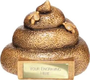 No.2 Stinky Poo Fun Award