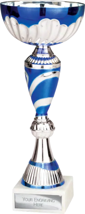Omega Silver & Blue
