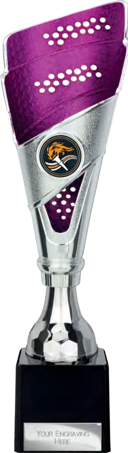 Predator Legend Purple & Silver