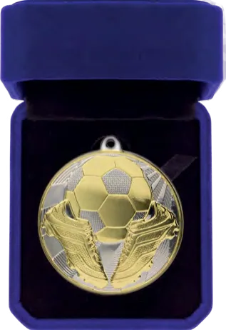 Premiership Football Medal & Box (MB25669A)