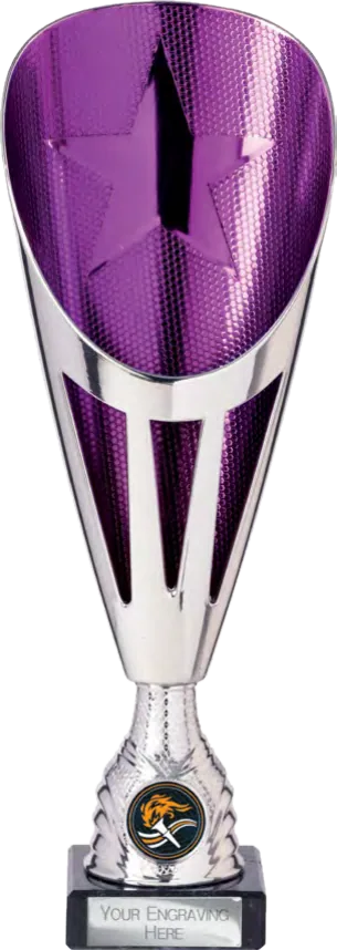 Rising Stars Deluxe Purple & Silver