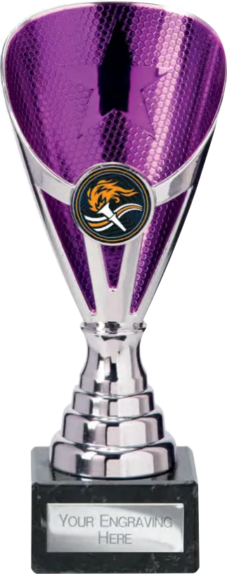 Rising Stars Premium Purple & Silver