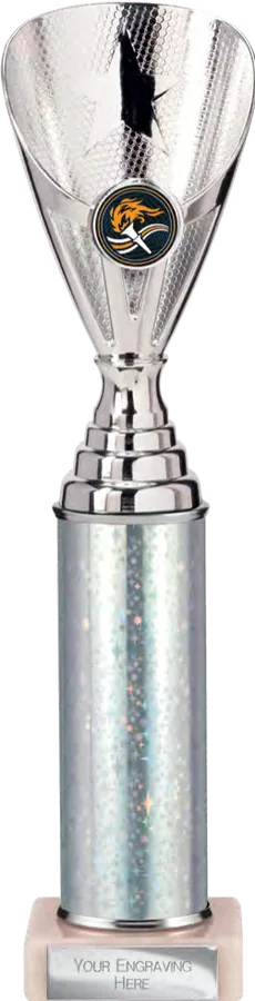 Rising Stars Silver