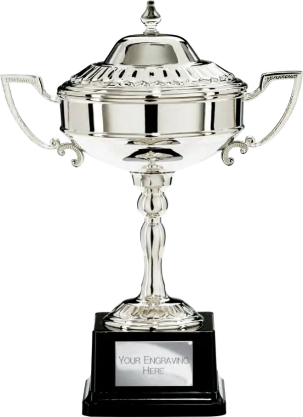 Sienna Electro Plated Silver Bowl