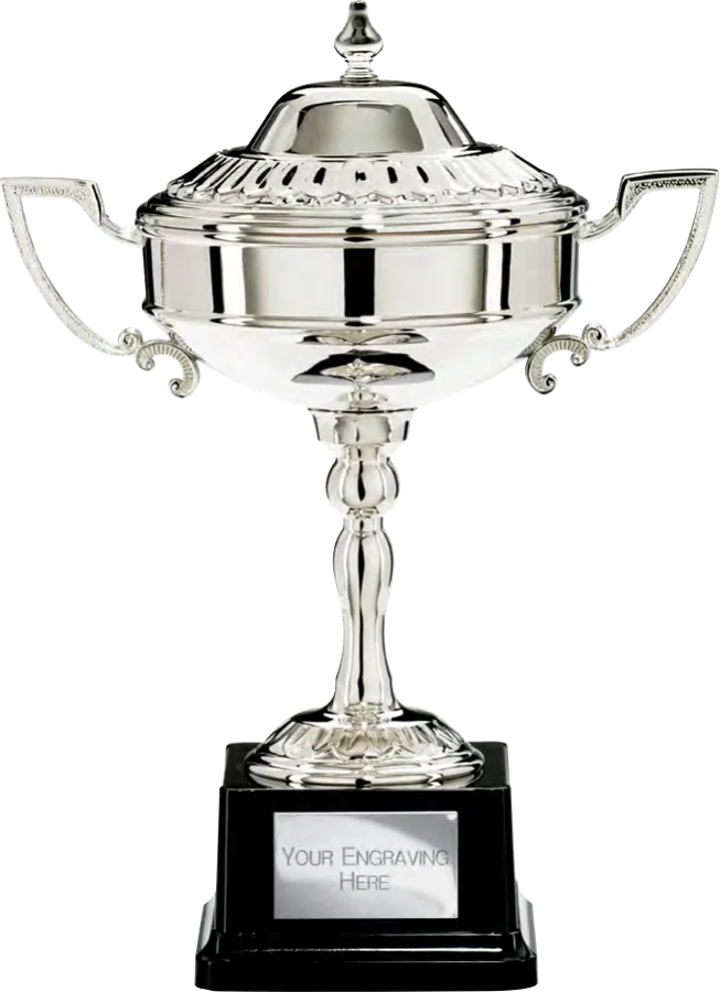 Sienna Electro Plated Silver Bowl
