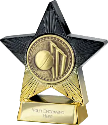 Superstar Cricket