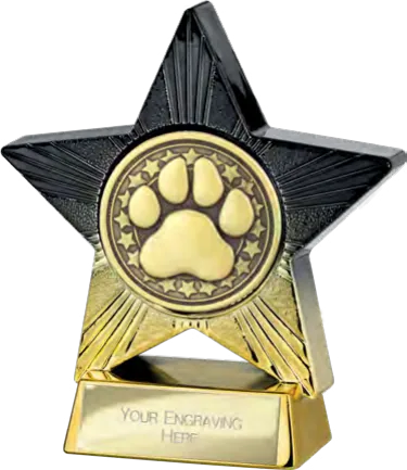 Superstar Dog Agility