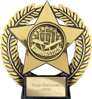 Superstar Gymnastics Medals