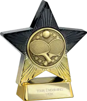 Superstar Table Tennis