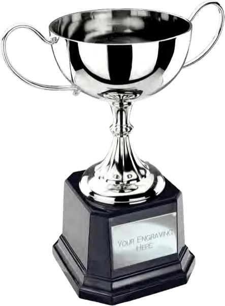 Tavistock Nickel Plated Cups