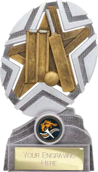 The Stars Cricket