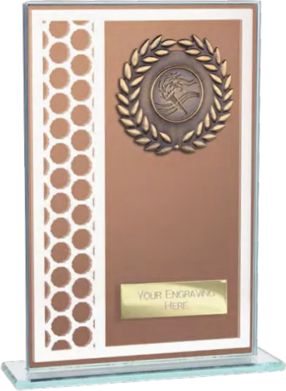 Titanium Mirror Bronze Multisport